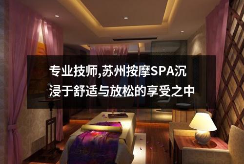 专业技师,苏州按摩SPA沉浸于舒适与放松的享受之中